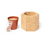  Cork pot, pine seeds