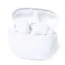  ANC wireless earphones