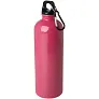Oregon 750 ml RCS certified single wall stainless steel water bottle with carabiner