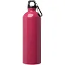 Oregon 750 ml RCS certified single wall stainless steel water bottle with carabiner