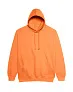  COLLEGE HOODICA - Just Hoods