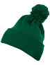  Cuffed Pom Pom Knit Beanie - Flexfit