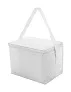 Ortit cooler bag
