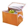 Ortit cooler bag