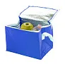 Ortit cooler bag