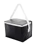 Ortit cooler bag