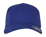  Flexfit Delta Cap - Flexfit
