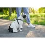  Bamboo waste bag dispenser for dog excrements