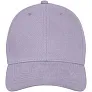 Davis 6 panel cap - Elevate Life