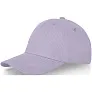 Davis 6 panel cap - Elevate Life