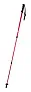 Pulpit nordic walking sticks