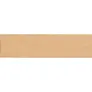  School set, pencil case