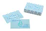 Visicard Safe custom tearproof business cards
