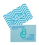 Visicard Safe custom tearproof business cards