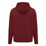  Iqoniq Yoho recycled cotton relaxed hoodie - iqoniq