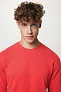  Iqoniq Zion recycled cotton crew neck - iqoniq