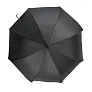 Bradyn Automatic umbrella
