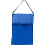  Cooler bag