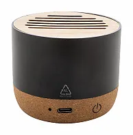 wireless speaker