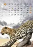  "ŽIVOTINJE" color kalendar
