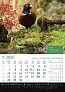  "KALENDAR LOVA" color calendar