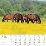  "SEOSKA IDILA" color kalendar