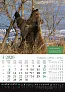  "KALENDAR LOVA" color calendar