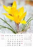  "CVIJEĆE" color calendar