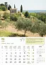  "MASLINE" color calendar