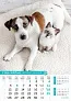  "PSI i MAČKE" color calendar