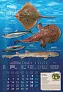  "S RIBARNICE" color calendar