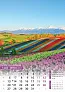 "IGRE BOJA" color calendar