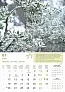  "MASLINE" color calendar