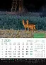  "KALENDAR LOVA" color calendar