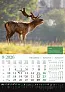  "KALENDAR LOVA" color calendar
