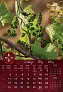  "VINO" color kalendar