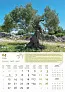  "MASLINE" color calendar
