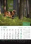  "KALENDAR LOVA" color calendar