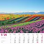  "ČARI PRIRODE" color calendar