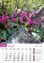  "PRIRODA" color kalendar