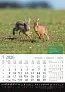  "KALENDAR LOVA" color calendar