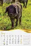  "MOJA ZLATNA SLAVONIJA i BARANJA"  color calendar