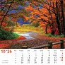  "ČARI PRIRODE" color calendar