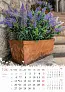 "CVIJEĆE" color calendar