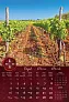  "VINO" color kalendar