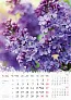  "CVIJEĆE" color calendar