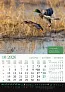  "KALENDAR LOVA" color calendar