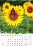  "CVIJEĆE" color calendar