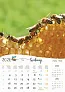  "PČELE" color kalendar