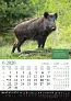 "KALENDAR LOVA" color calendar